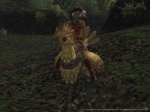 Rut060728193321a.jpg