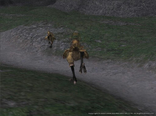 Rut060123025925a.jpg