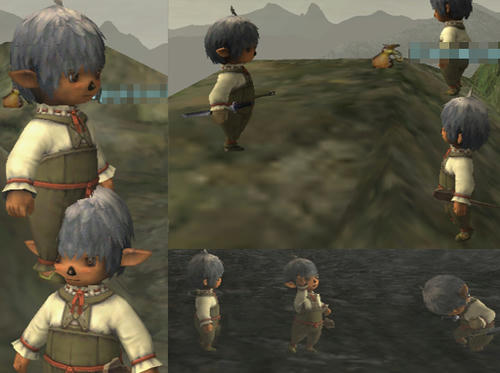 20110113e.jpg