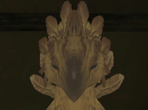 20110204f.jpg