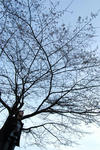 4e5d2975.jpg