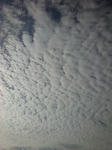20080124101024.jpg