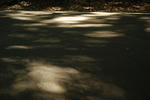 DSC_0056.jpg