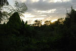 DSC_0060.jpg