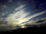 DVC00050.jpg