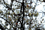 16c969a6.jpg