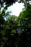 74c4f684.jpg