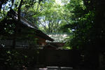DSC_0720.jpg