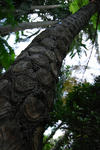 c550a877.jpg