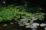 DSC_0004.jpg