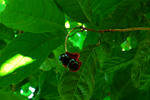 e2a88ba2.jpg