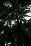 b489beec.jpg
