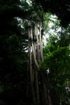DSC_0028.jpg