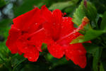 DSC_0699.jpg