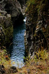 DSC_0993.jpg