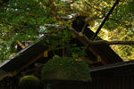 DSC_1057.jpg