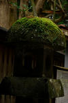 DSC_1059.jpg