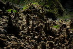 DSC_1085.jpg
