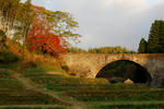 DSC_1092.jpg