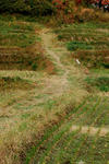 DSC_1109.jpg