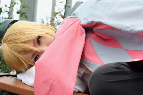 お犬様ハウルだよー！