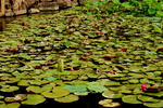 cc572122.jpg