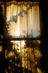 DSC_0312.jpg