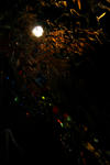 DSC_0128.jpg