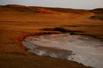 DSC_0765.jpg