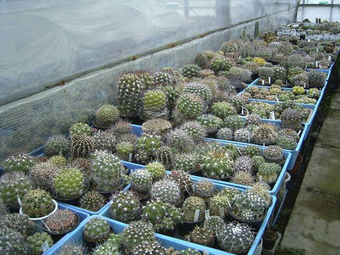ギムノが一杯ですよ！