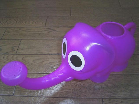 我が家の働き者さんです♪（笑）