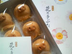 P1000585.JPG