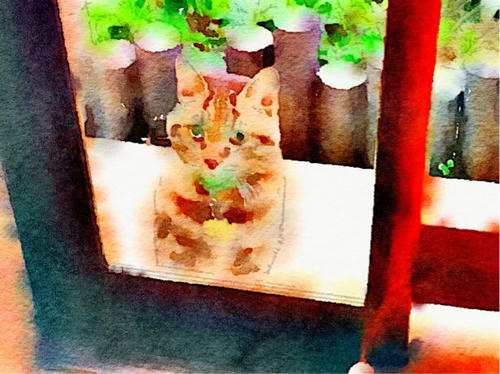 Waterlogue