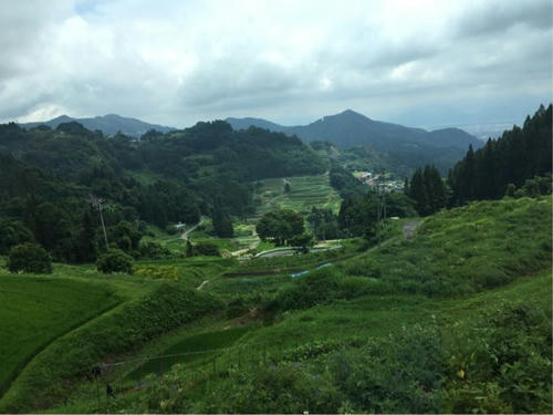 長野市 入山