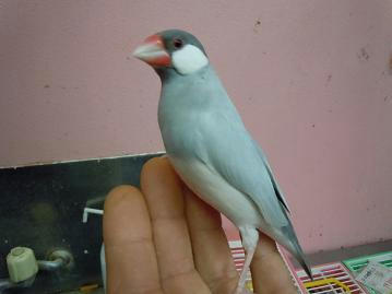 DSCN0224.JPG