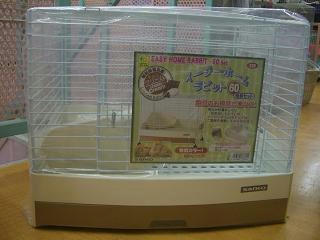 CIMG6689.JPG