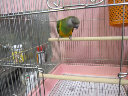 IMG_6646.JPG