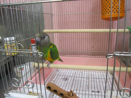 IMG_6649.JPG