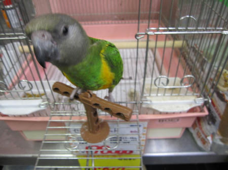 IMG_6654.JPG