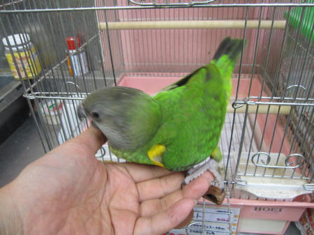 IMG_6655.JPG
