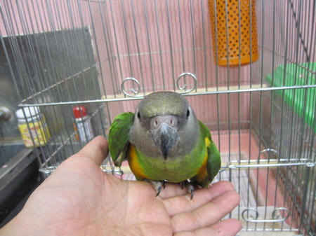 IMG_6657.JPG