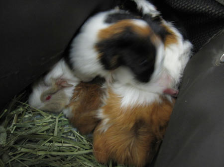 IMG_6621.JPG