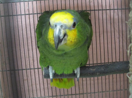 IMG_6861.JPG