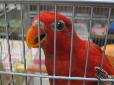 IMG_6864.JPG