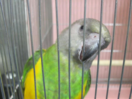 IMG_6865.JPG