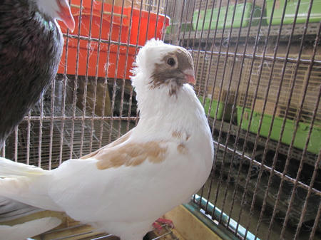 IMG_7815.JPG