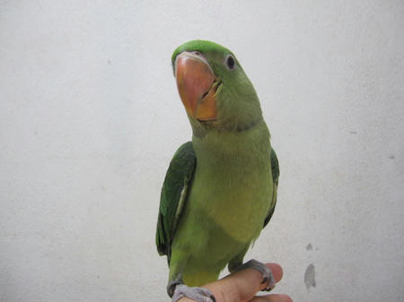 IMG_8219.JPG
