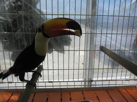 IMG_8360.JPG