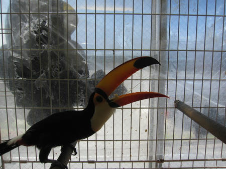 IMG_8363.JPG