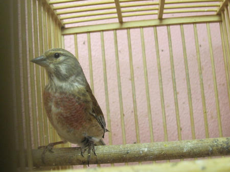IMG_8537.JPG